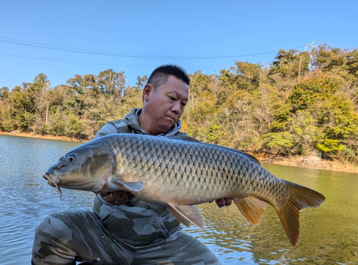 鯉釣りのことなら【NG-CARP】 - 鯉釣り専用のボイリーやタックルなどのアイテムが勢ぞろい！